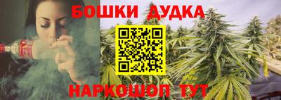соль ск Новозыбков