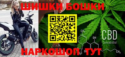 соль ск Новозыбков