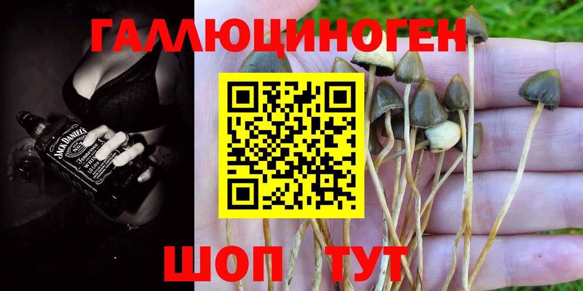 Псилоцибиновые грибы прущие грибы  Вход с VPN  Ртищево  Галлюциногенные грибы Cubensis 
