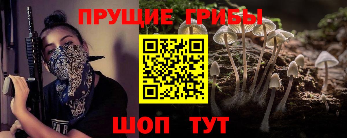 Галлюциногенные грибы Cubensis Ртищево